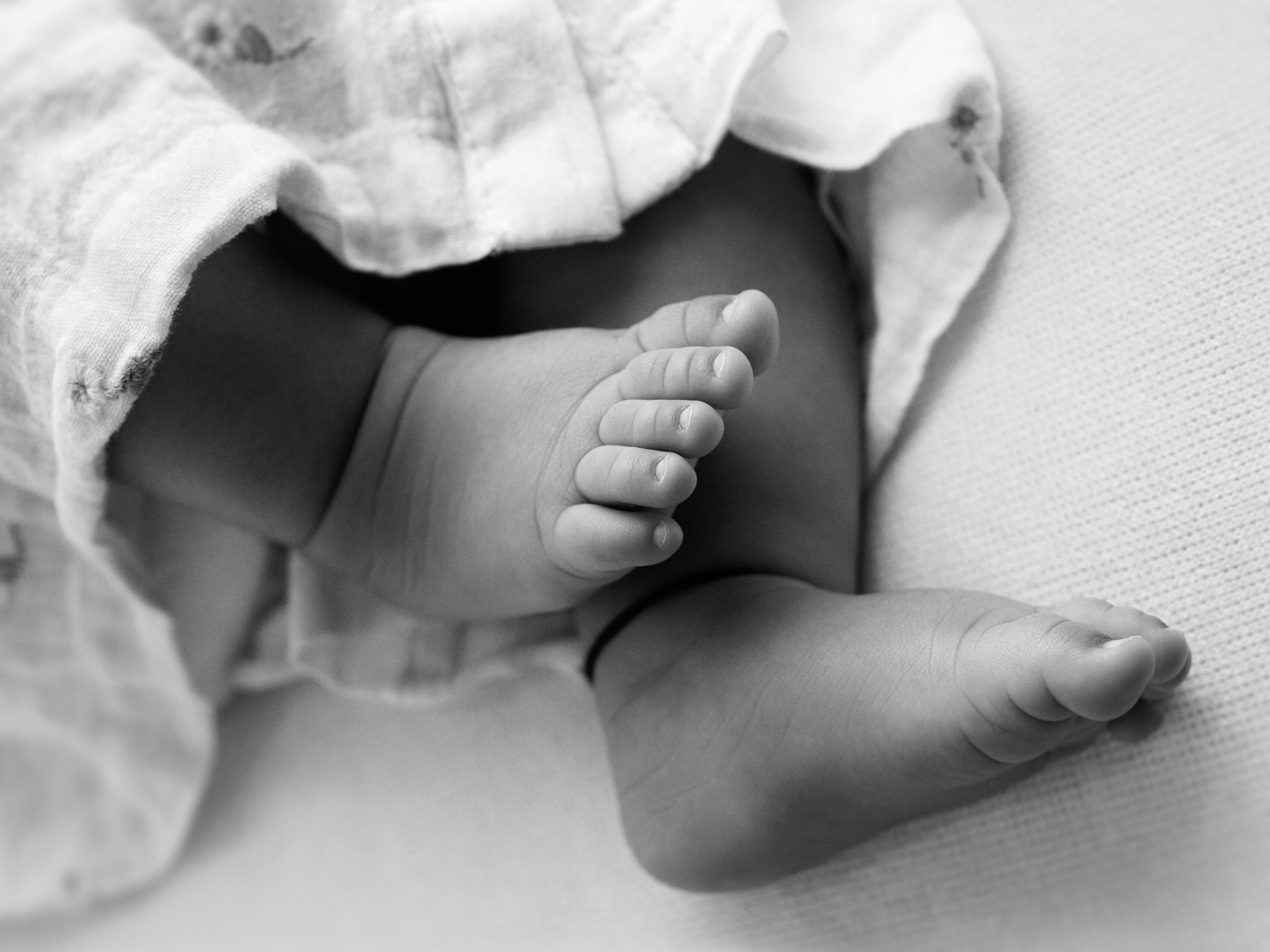 Newborn baby's feet in black and white